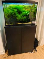 Aquaruim 70 liter, Dieren en Toebehoren, Vissen | Aquaria en Toebehoren, Ophalen of Verzenden, Nieuw, Gevuld zoetwateraquarium