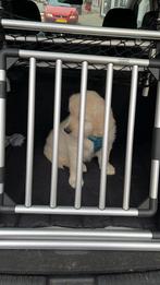 Hondenrek voor in de auto - Universeel, Ophalen of Verzenden, Gebruikt