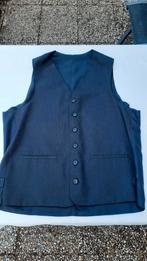 Gilet heren blauw mt 48, Ophalen of Verzenden, Zo goed als nieuw, Maat 48/50 (M), Blauw