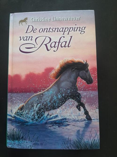 Christine Linneweever - De ontsnapping van Rafal, Boeken, Kinderboeken | Jeugd | 10 tot 12 jaar, Zo goed als nieuw, Ophalen of Verzenden