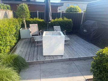 Witte plantenbakken 80x80x80 3stuks 1stuks 200x60x50 beschikbaar voor biedingen