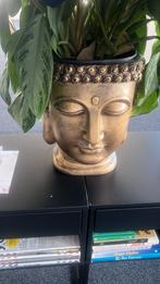 Bronze Buddha Plantenpot met mooie plant., Huis en Inrichting, Woonaccessoires | Boeddhabeelden, Ophalen of Verzenden, Zo goed als nieuw