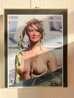 Naaktportret met bladeren, Ophalen