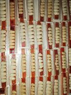 Tandtechniek, Diversen, Braces, Ophalen, Nieuw