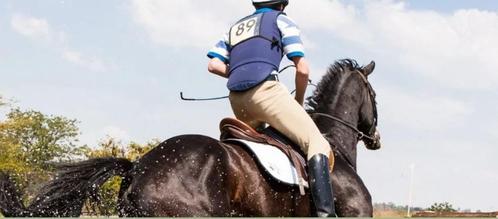 * 2x body protector * veilig paardrijden, Dieren en Toebehoren, Paardrijkleding, Gebruikt, Dames, Heren, Kinderen, Bovenkleding