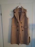 Nieuwe teddy gilet, Ophalen of Verzenden, Nieuw, Maat 38/40 (M), Beige