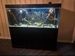 Design aquarium, Dieren en Toebehoren, Ophalen of Verzenden, Zo goed als nieuw, Leeg aquarium