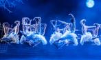 4 tickets to Swan Lake, Carre, November 1st, Tickets en Kaartjes, Twee personen, November