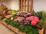 Bloemenpresentatie karren / bank, Huis en Inrichting, Kasten | Overige, Ophalen, Gebruikt