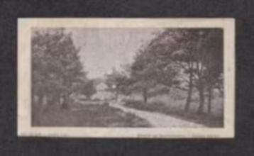 Kalenderplaatje Hattem Gezicht bij Dennenheuvel 1910. beschikbaar voor biedingen