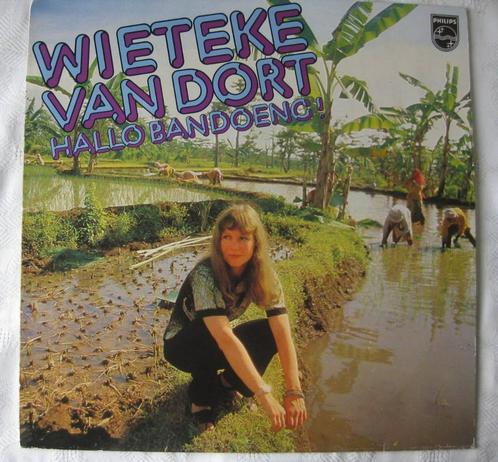 LP Wieteke van Dort 1979, Cd's en Dvd's, Vinyl | Nederlandstalig, Zo goed als nieuw, Pop, 12 inch, Ophalen of Verzenden