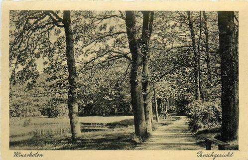 (388-097-003) Winschoten Boschgezicht, Verzamelen, Ansichtkaarten | Nederland, Groningen, Verzenden