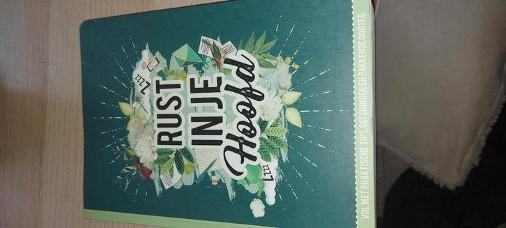 Rust in je hoofd, Boeken, Advies, Hulp en Training, Zo goed als nieuw, Ophalen of Verzenden