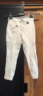 Mooie wedstrijd rijbroek, Dieren en Toebehoren, Paardrijkleding, Ophalen, Zo goed als nieuw, Overige soorten, Onderkleding