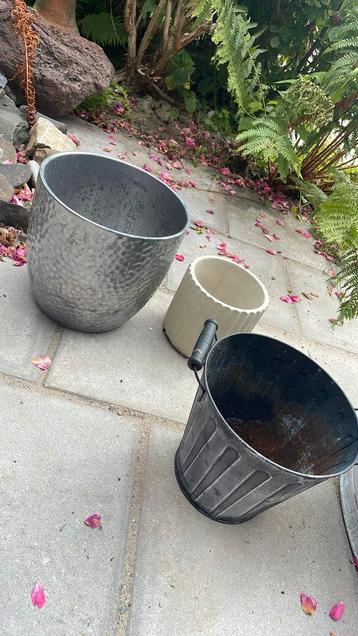 Bloempotten beschikbaar voor biedingen