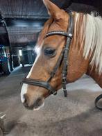 Bruin hoofdstel maat cob, Dieren en Toebehoren, Paarden en Pony's | Hoofdstellen en Tuigage, Gebruikt, Ophalen of Verzenden