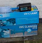 Koi en Koi benodigdheden, Karper of Koi