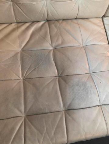 Kussens voor de hond. beschikbaar voor biedingen