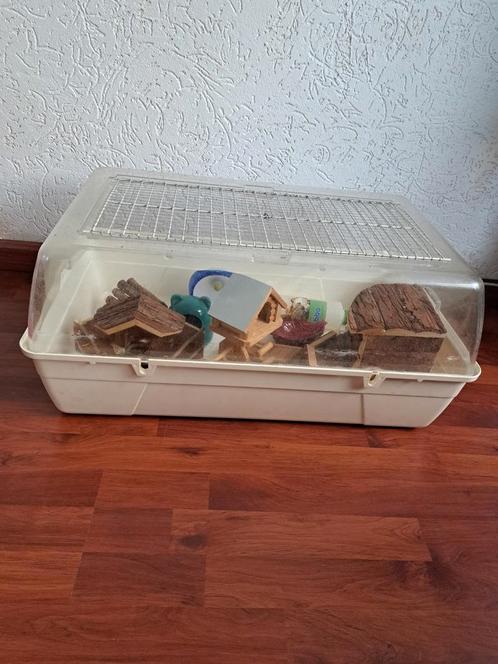 Knaagdier/cavia kooi met toebehoren (gebruikt voor hamster), Dieren en Toebehoren, Knaagdieren en Konijnen | Hokken en Kooien
