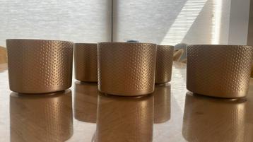 5x gouden bloempotje - bruiloft beschikbaar voor biedingen