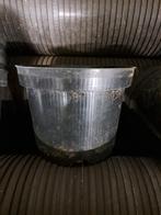 Professionele kweekpotten C3 – 19 cm – 400 stuks voor €95,-, Ophalen, Kunststof, Gebruikt, Rond
