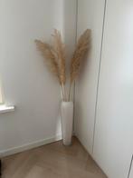 Mooie Pampas pluimen met witte vaas, Wit, Aardewerk of Porselein, Nieuw, Ophalen of Verzenden