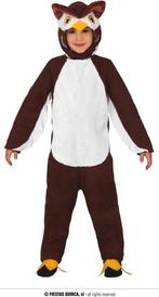 Uilen kostuum, Ophalen of Verzenden, Gebruikt, Jongen of Meisje