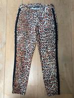 Studio Anneloes leopard print broek maat S, Ophalen of Verzenden, Zo goed als nieuw, Zwart, Lang