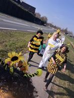 Bijen pakken carnaval, Ophalen, Nieuw, Jongen of Meisje