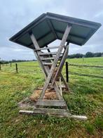 Hooiruif hout, Meerdere dieren, Schaap