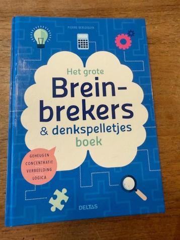 Het grote breinbrekers en denkspelletjes boek beschikbaar voor biedingen