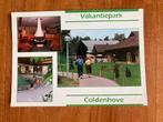 Eerbeek. Vakantiepark Coldenhove, Verzamelen, Ansichtkaarten | Nederland, Ophalen of Verzenden, 1980 tot heden, Gelopen, Gelderland
