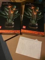 LEGO 10289 Paradijsvogelplant - Nieuw in doos!, Kinderen en Baby's, Speelgoed | Duplo en Lego, Ophalen of Verzenden, Nieuw, Complete set