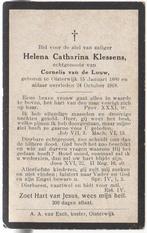 Helena Cath. Klessens 1880 - 1918 Oisterwijk, 38 jaar oud, Verzenden, Bidprentje