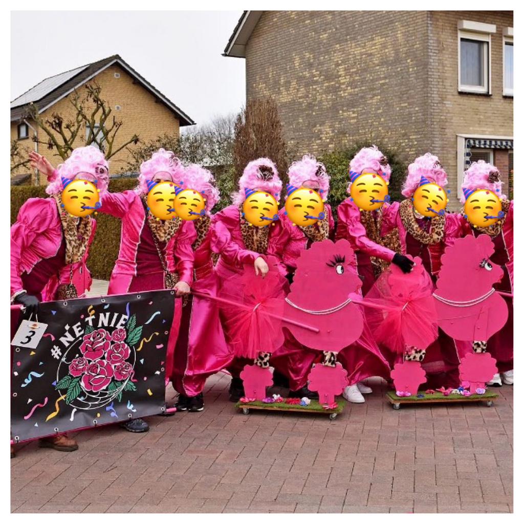 Loopgroep 8 personen, Ophalen of Verzenden, Zo goed als nieuw, Maat 46/48 (XL) of groter, Carnaval