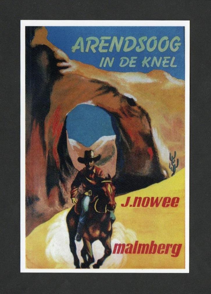 Arendsoog In De Kwel J. Nowee door Jan Huizinga., Verzamelen, Ansichtkaarten | Themakaarten, Ongelopen, 1980 tot heden, Cultuur en Media