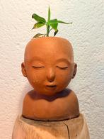 Terracotta bloempot Olifantje, Binnen, Ophalen of Verzenden, Zo goed als nieuw, Overige vormen