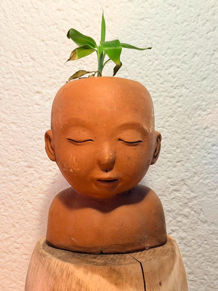 Terracotta bloempot Olifantje, Tuin en Terras, Bloempotten, Zo goed als nieuw, Terracotta, Binnen, Minder dan 40 cm, Minder dan 25 cm