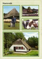 Maartensdijk - 4 afb koe schaap - 1990 gelopen, Ophalen of Verzenden, Voor 1920, Gelopen, Gelderland