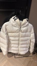 Moncler jas, Kleding | Dames, Jassen | Winter, Wit, Moncler, Maat 42/44 (L), Ophalen of Verzenden
