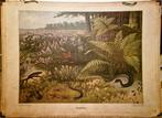 Reptiliën / M.A. Koekkoek, Ophalen, Natuur en Biologie