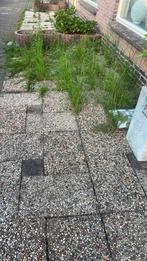 Tuin, Ophalen of Verzenden, Zo goed als nieuw