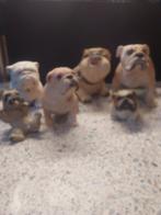 Bulldog, Ophalen of Verzenden, Nieuw