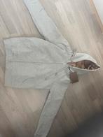 Nieuw Burberry Vest Heren - Maat S/M, Kleding | Heren, Truien en Vesten, Ophalen of Verzenden, Nieuw, Maat 48/50 (M), Overige kleuren