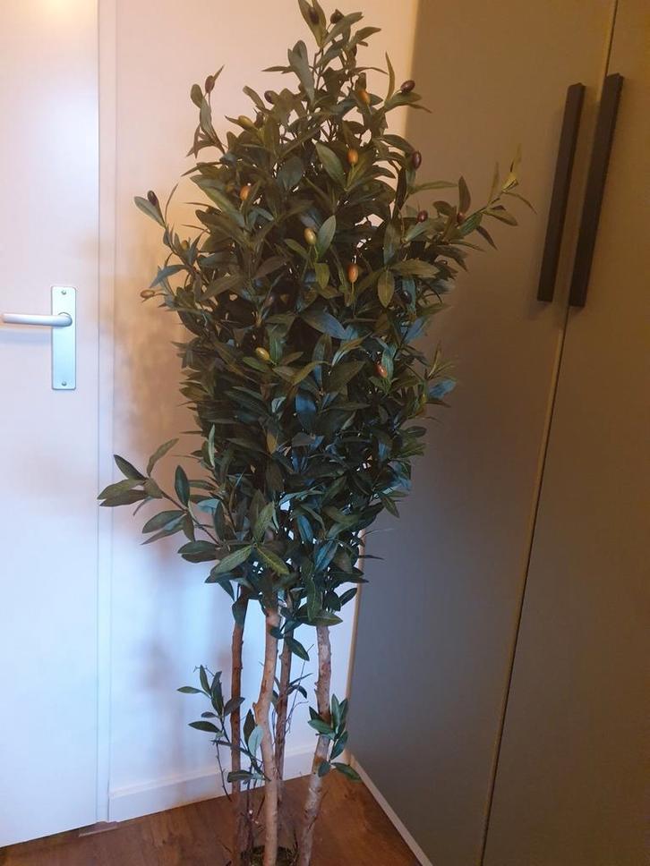 Olijfboom kunstboom, Huis en Inrichting, Woonaccessoires | Kunstplanten en Kunstbloemen, Nieuw, Binnen, Buiten, Ophalen of Verzenden