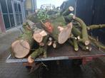 13 kuub eiken stammen brandhout, Tuin en Terras, Haardhout, 6 m³ of meer, Ophalen of Verzenden, Eikenhout, Stammen
