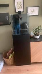 dennerle nano cube 60 aquarium met kast, Ophalen, Nieuw, Leeg aquarium