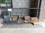 Handige ren met deksel, Dieren en Toebehoren, 110 cm of meer, Cavia, Zo goed als nieuw, Ren