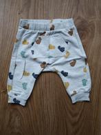 Zachte broek lichtgrijs met beren maat 56 H&M NIEUW, Nieuw, Ophalen of Verzenden, Jongetje of Meisje, Broekje