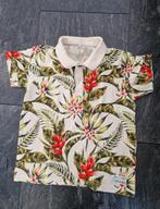 Name it Polo maat 116, Kinderen en Baby's, Kinderkleding | Maat 116, Ophalen of Verzenden, Name IT, Jongen, Shirt of Longsleeve